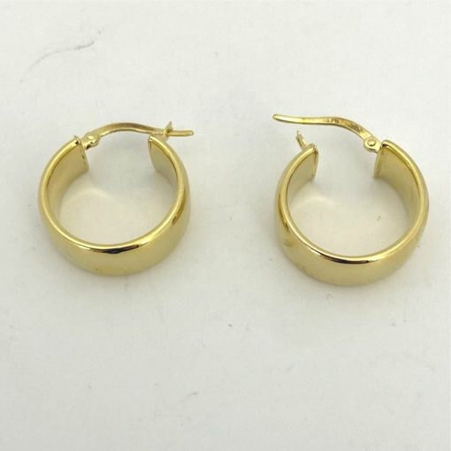 Hoop Earrings