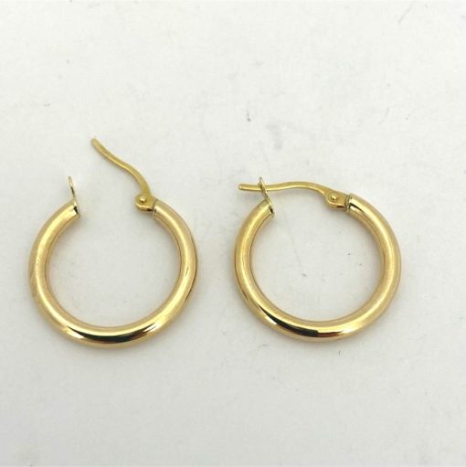 Hoop Earrings